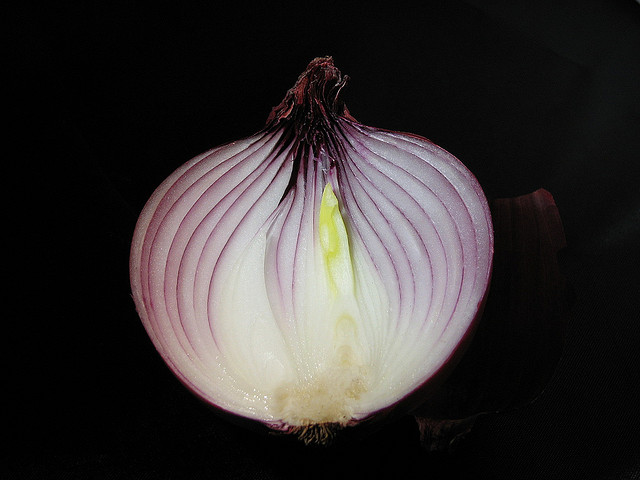 onion_tor